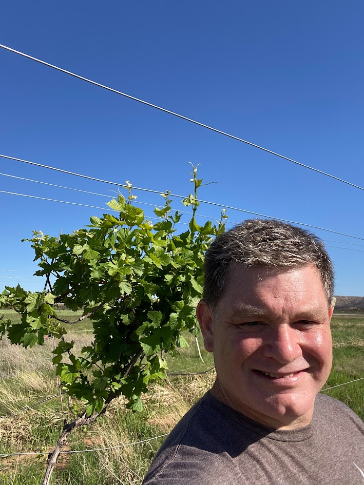Todd Dole standing beside a Tuskany Vineyard grapevine.
